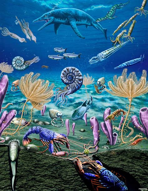 Ammonoidea Unexpected Early Triassic Marine Ecosystem