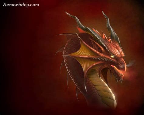 He has so much power that enemies will surrender to him instantly after one punch. Dragon photos - Legend of Dragon-Cool dragon pictures ...