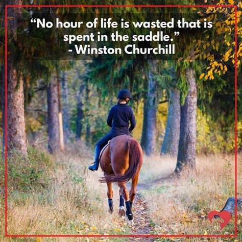Famous Quotes About Horses The Best Horse Quotes Picked By An Actual