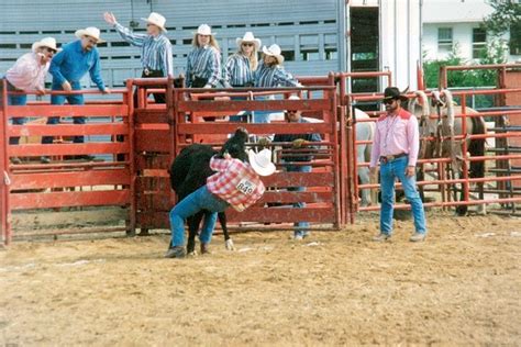 Rodeo Days ~ Chute Dogging Iii Go T Go T Flickr