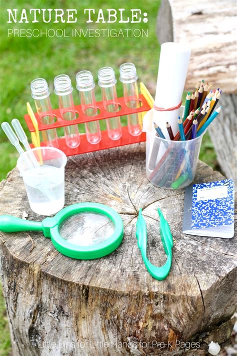 15 great nature activities for kids that are perfect for little ones as they play throughout the spring and summer seasons. Science for Kids: Nature Investigation Table - Pre-K Pages