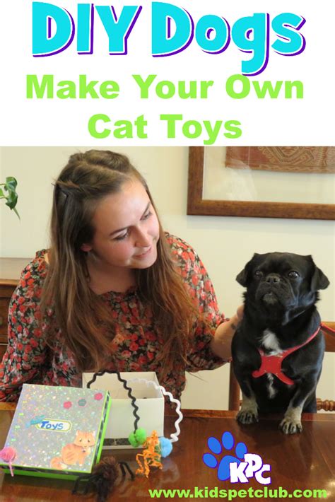 Learn How To Make Your Own Diy Cat Toys With Kilo The Pug