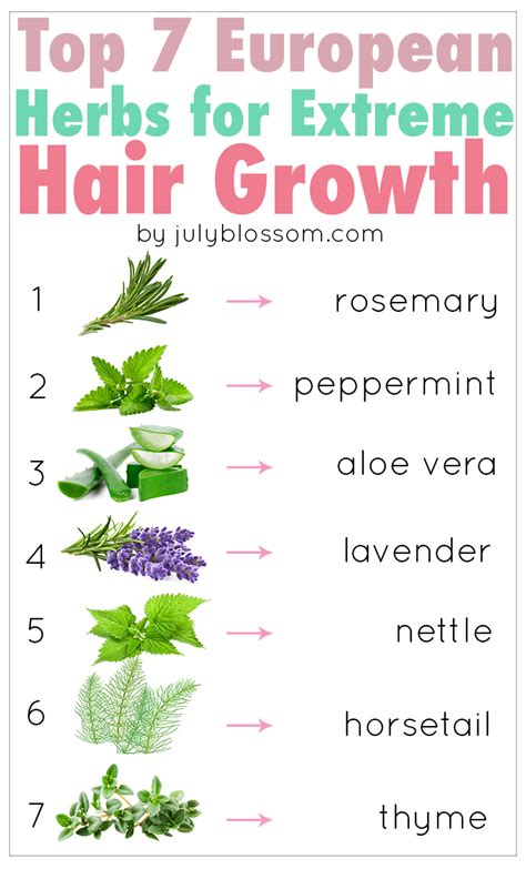 Top 7 Effective Herbs For Hair Growth ♡ July Blossom