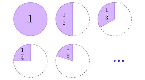 Ejemplos De Numeros Racionales En La Vida Cotidiana Compartir Ejemplos