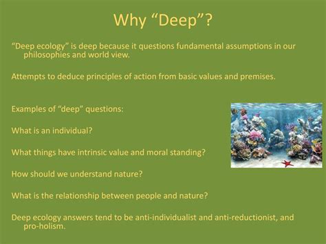Ppt Deep Ecology Powerpoint Presentation Free Download Id2048178