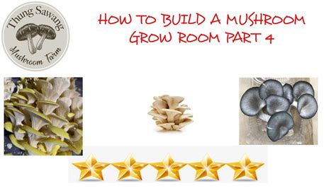 How To Build A Mushroom Grow Room Part 4 Youtube