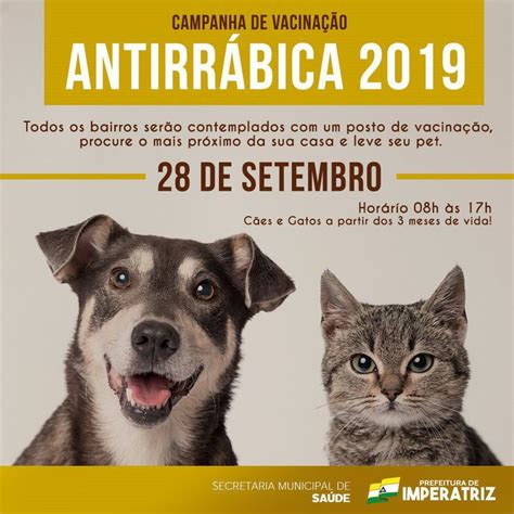 Vacinação Antirrábica Para Cães E Gatos Ocorre Neste Sábado28 Prefeitura Municipal De Imperatriz