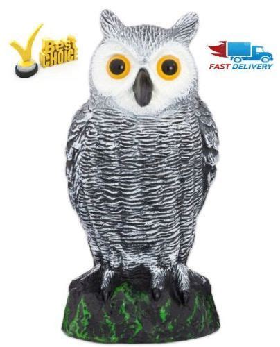 The fake owl scarecrow helps fight off birds , natural enemies of squirrels, pigeons, rabbits, small mammal etc.especially big yellow bright eyes, deterrent to let horned owl decoy to protect your garden right now. ScareCrow-Fake-Owl-Decoy-Pest-Repellent-Garden-Protector ...