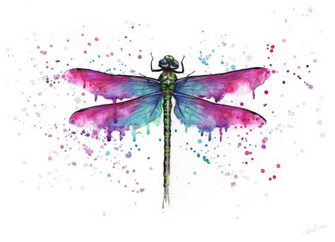 Dragonfly Watercolour Painting Illustration Original Or Print Etsy