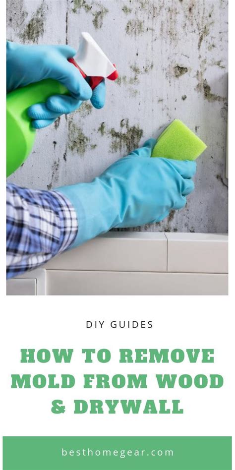 How To Remove Mold From Drywall Howotremvo