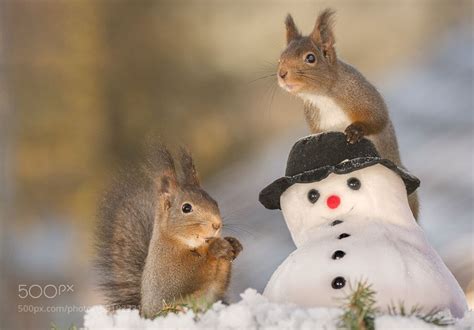 Playing With The Snowman By Geertweggen Via Ifttt2if879h
