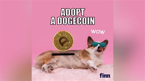 Doge 1080x1080 You Are What You Eat Doge Much Wow 1080x1080 Pixels