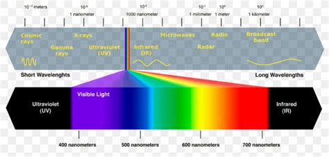 Full Spectrum Light Visible Spectrum Electromagnetic Spectrum Grow
