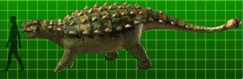 The italian name of turkey. Tarchia Pictures & Facts - The Dinosaur Database