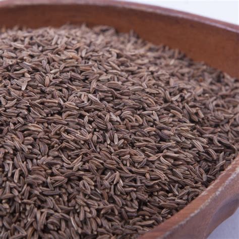 Caraway Seed Whole Marion Kay Spices