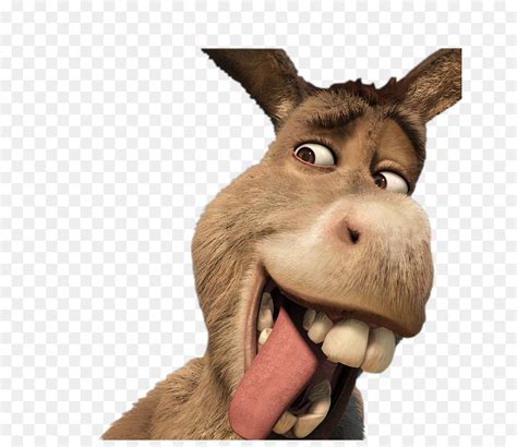 0 Result Images Of Donkey From Shrek Smiling Png Png Image Collection