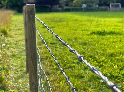 Barbed Wire Stock Fencing Jacksons Fencing