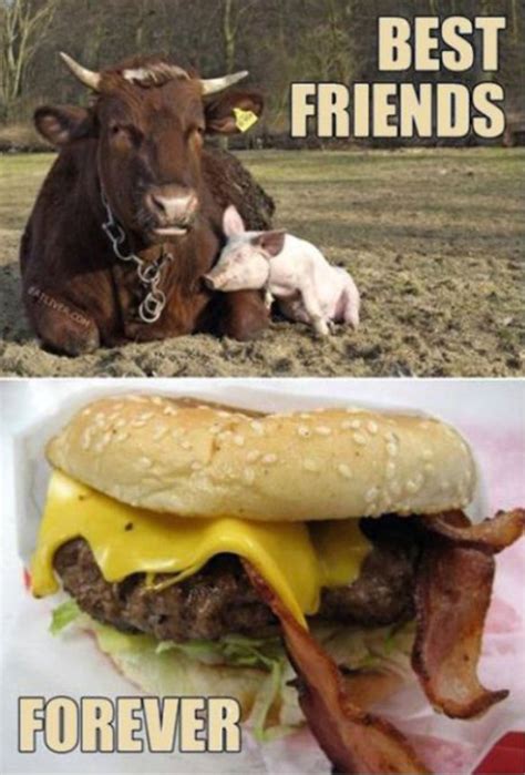 33 Funny Pics of the Random, Weird, and Kooky | Team Jimmy Joe