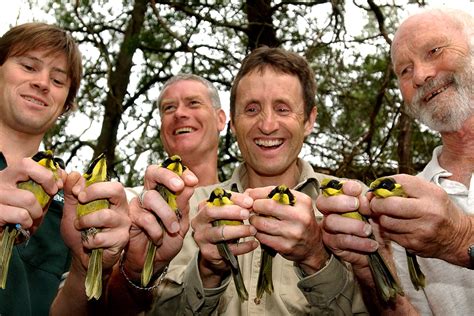 T4w Subscription For Friends Of The Helmeted Honeyeater Together For