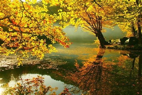 🔥 Free Download Beautiful Autumn Wallpapers Most Beautiful Places In