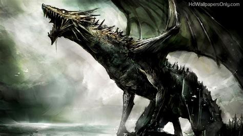 Real Dragon Wallpapers Top Free Real Dragon Backgrounds Wallpaperaccess