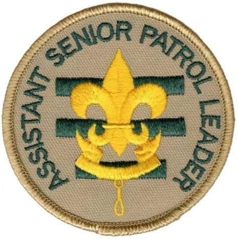 Scouts Bsa Assistant Senior Patrol Leader Patch Bsa Cac Scout Shop