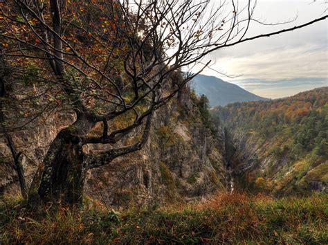 Autumn Canyon Background By Burtn On Deviantart
