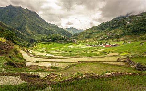 Download Banaue Rice Terraces Download Best 4k Pictures Images