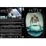 Sully DVD Cover  Addict Free Bluray Covers And Movie Posters