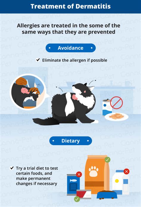 Allergic Dermatitis In Cats Recognize The Signs Canna Pet
