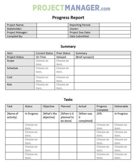 Project Management Progress Report Template