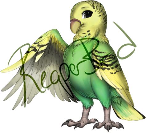 Download Female Green Budgie Portable Network Graphics Hd