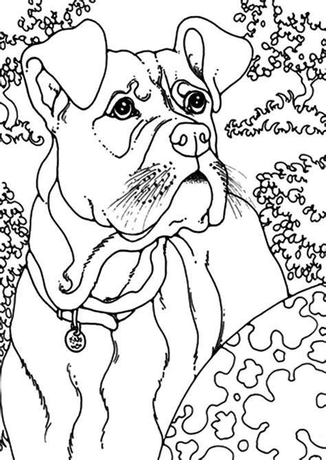 25+ Boxer Dog Coloring Picture - Bleumoonproductions