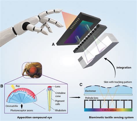 Multidimensional Tactile Sensor With A Thin Compound Eye Inspired