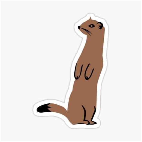 Stoat Stickers Redbubble