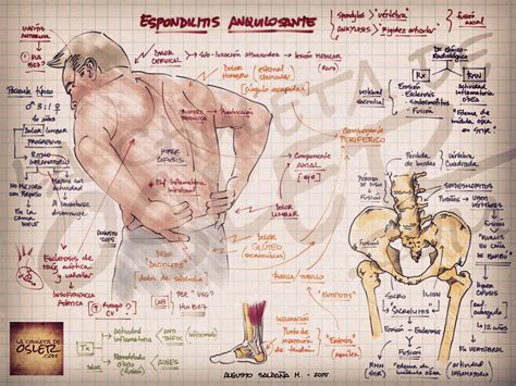 Img Ankle Anatomy Medical Drawings Nursing Study Guide Medical