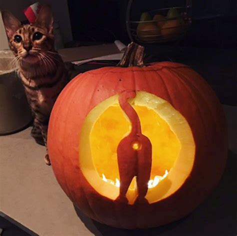 13 Of The Best Cat O Lanterns We Could Find Meowingtons