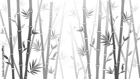 Bamboo Forest Texture Bamboo Forest Silhouette Bamboo Plants With