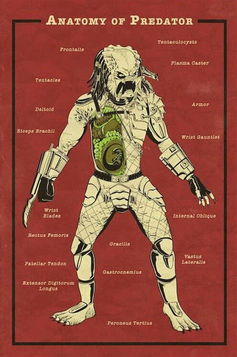 Predator Artwork Alien Artwork Joker Artwork Alien Vs Predator Predator Movie Human Anatomy