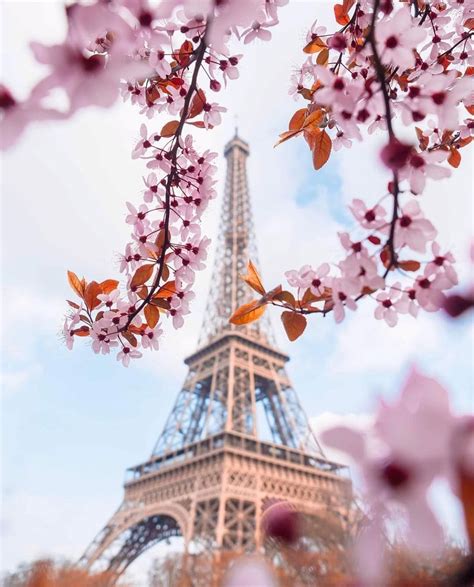 Eiffel Tower Spring Art Wallpapers Wallpaper Cave