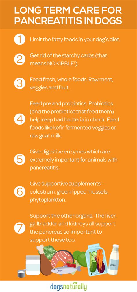 Look for symptoms like muscle shakes, vomiting, high temperature, and weakness in their back legs. Dog Pancreatitis: 11 Steps For Natural Healing | Dog food ...