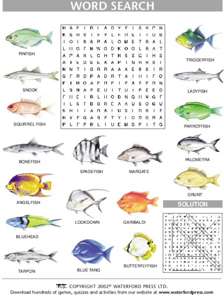 Word Search Fish Lesson Plan For 1st 3rd Grade Lesson Planet
