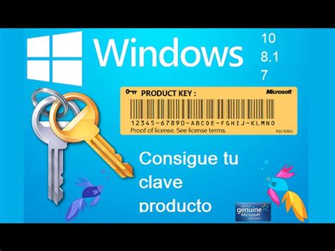 Saber Clave De Producto Windows Office 2023