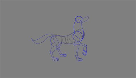 What Is Solid Drawing In Digital Animation How To Get Started One