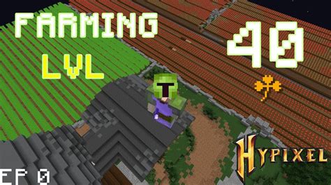 Asi LLEGUE Al Nivel 40 De FARMING Skyblock Hypixel YouTube