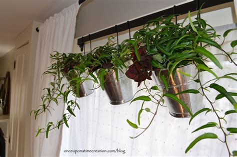 We did not find results for: "Houseplant" Valance - Once Upon a Time Creation