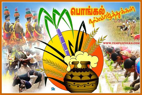 Get pongal 2021 date along with auspicious time for thai pongal for new delhi, india. Pongal Festival - Celebration of Tamilar Thirunal