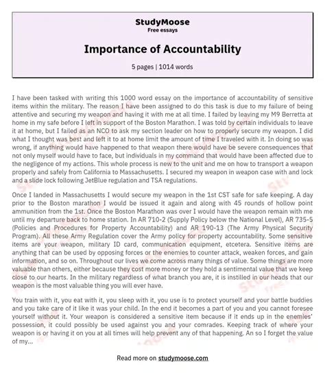 Importance Of Accountability Free Essay Example