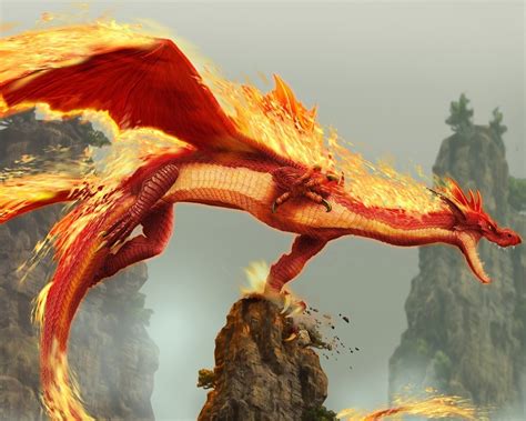 Fire Dragon Funkyrach01 Wallpaper 16754383 Fanpop