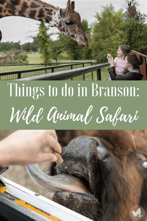 Skip The Branson Mo Zoos And Go For A Real Adventure Wild Animal